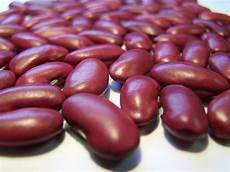 Barbunia Beans