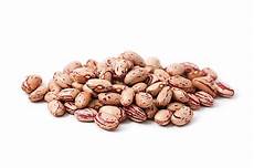 Barbunia Beans