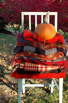 Blanket Wool