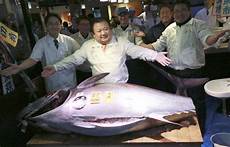 Bluefish