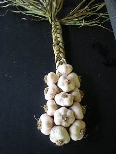 Braided Cheese