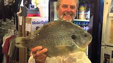 Bream