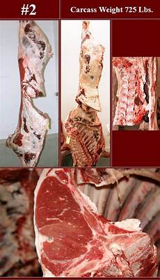 Carcass Meat