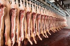 Carcass Meat