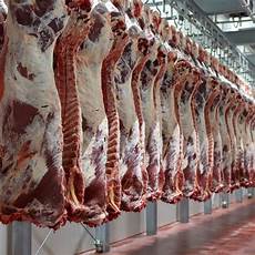 Carcass Meat