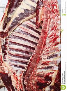 Carcass Meat