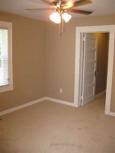 Carpet Trim