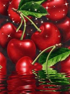 Cherries