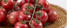 Cherry Tomato