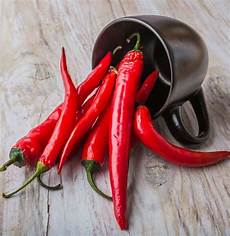 Chili Pepper