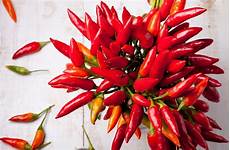Chili Pepper