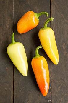 Chili Pepper