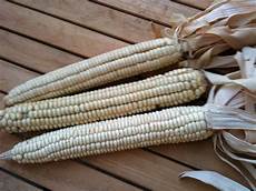 Corn Flour