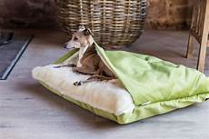 Double Blanket