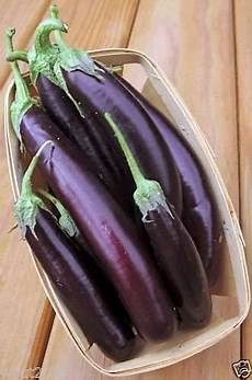Dried Eggplant