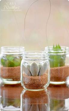 Dried Food