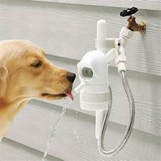 Drinking Water