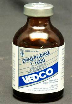 Epinephrine