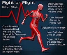 Epinephrine