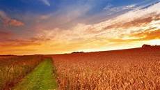 Farm