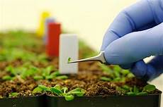 Farming