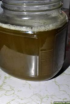 Feeding Machine