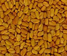 Fenugreek