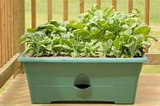 Fertilized Planters