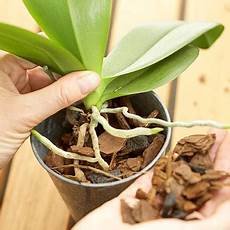 Fertilized Planters