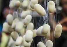 Fiber Yarn