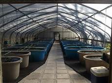 Fish Farming