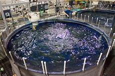 Fish Farming