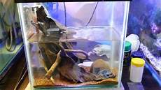 Fish Farming