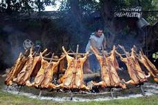 Fish Grills
