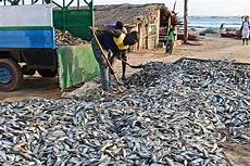 Fishmeal