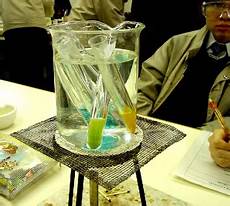 Food Additives