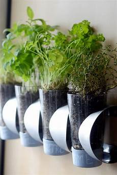 Food Bottle