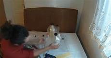 Food Bottle