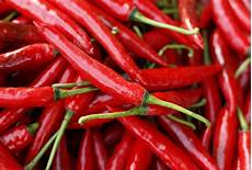 Food Puree