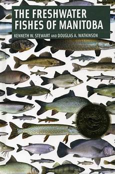 Fresh Fish