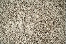 Frieze Carpet