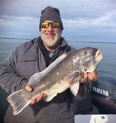 Frozen Trout
