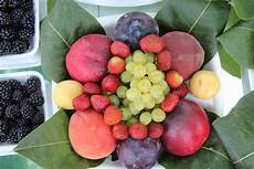 Fruit