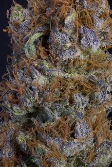 Fruity Candy
