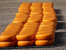 Gouda Cheese
