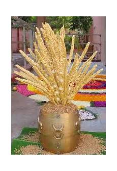 Grains