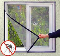 Guillotine Window