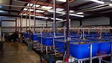 Hatchery
