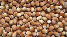 Hazelnut Kernel