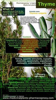 Herbal Tea